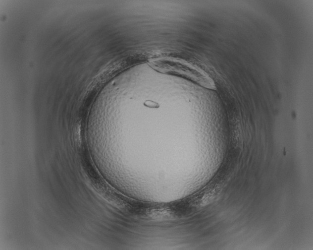 X0000067940262200605041808