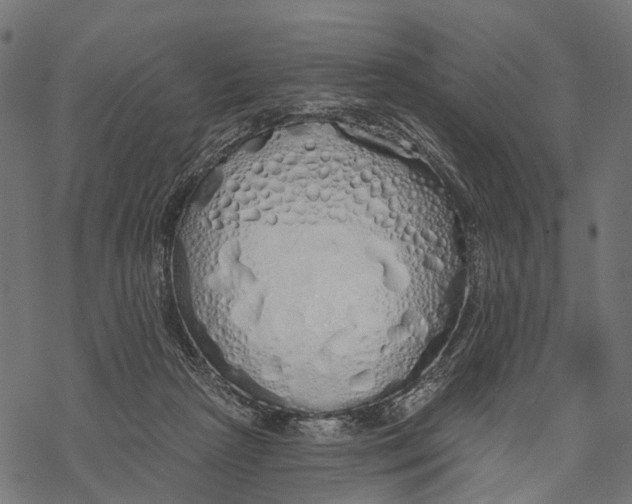 X0000067940265200605041808
