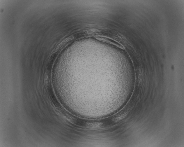 X0000067940266200605041808