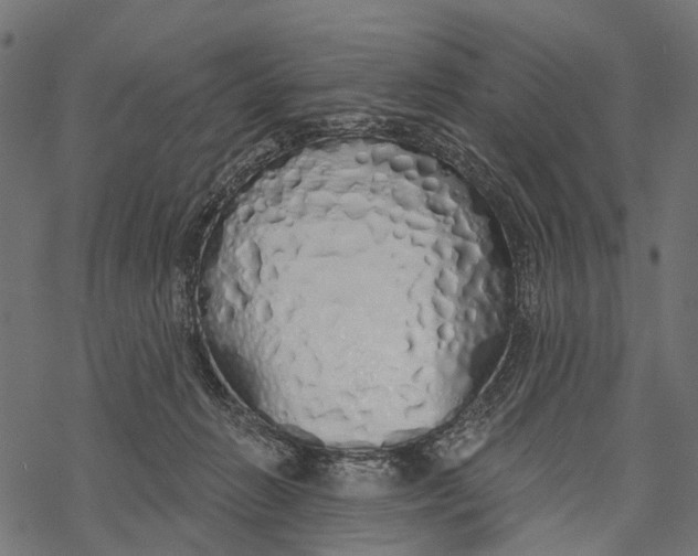 X0000067940270200605041808