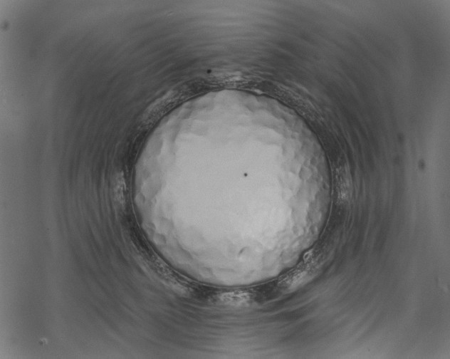 X0000067940279200605041808