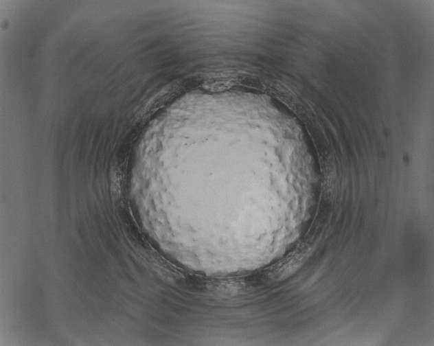 X0000067940282200605041808