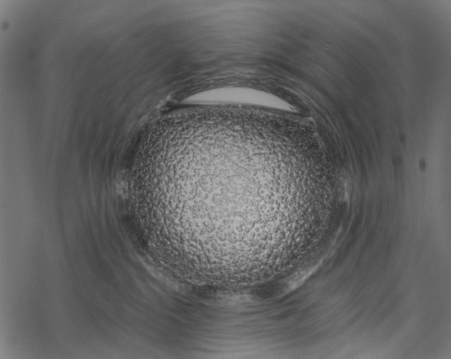 X0000067940284200605041808