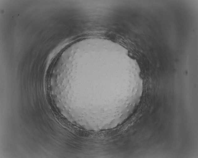 X0000067940294200605041807