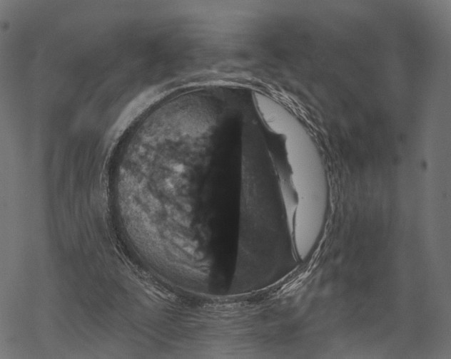 X0000067940295200605041807