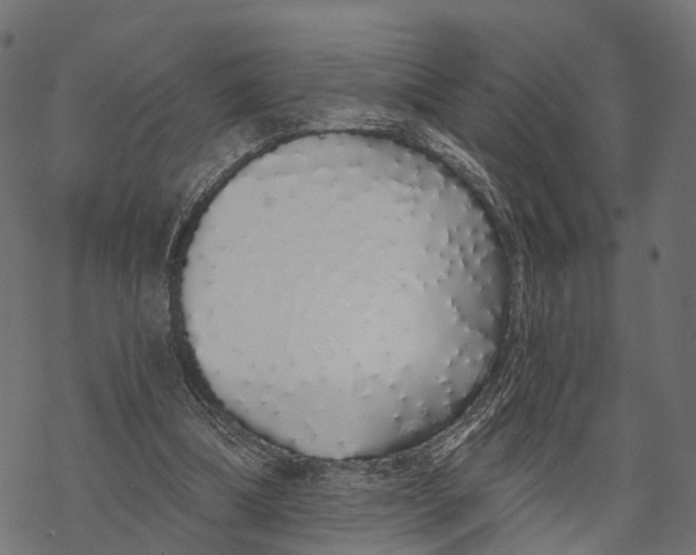 X0000067940298200605041807