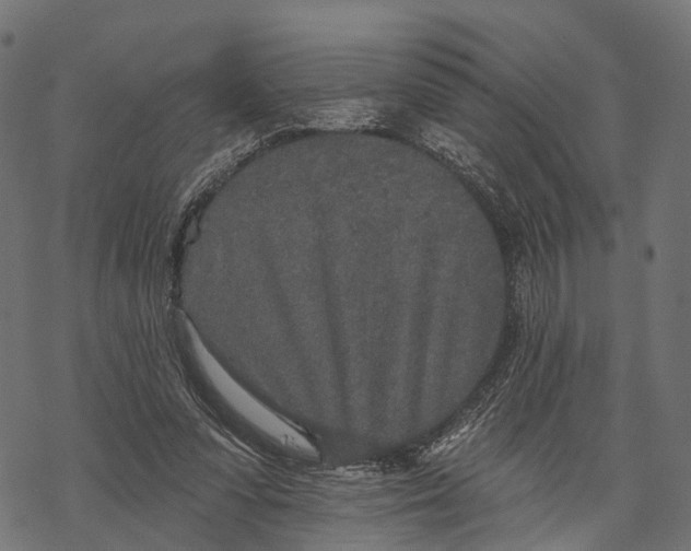 X0000067940303200605041807