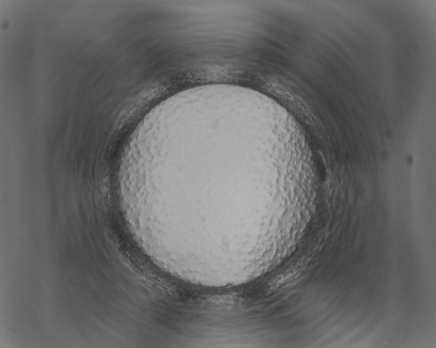 X0000067940306200605041807