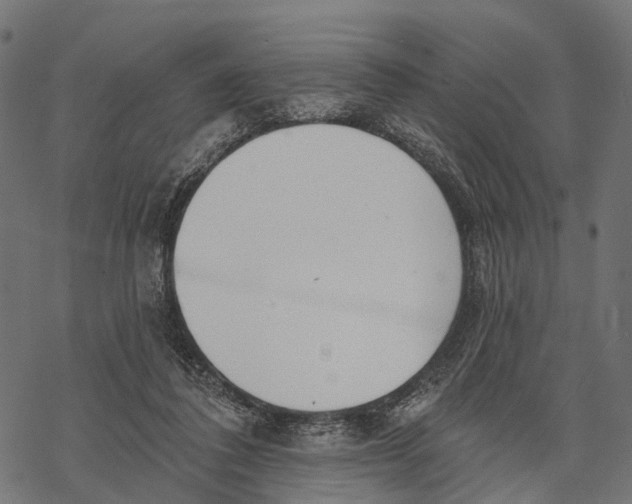 X0000067940308200605041807