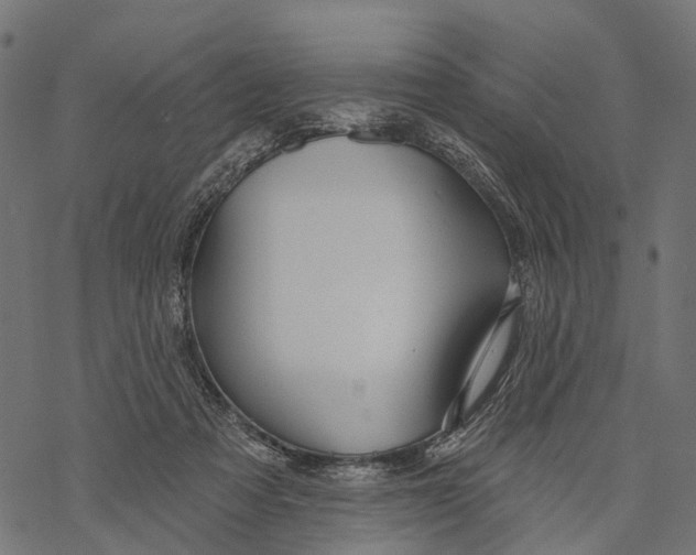 X0000067940313200605041807