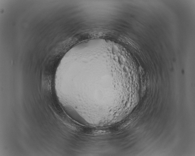 X0000067940315200605041807