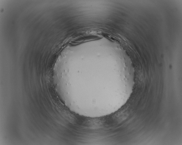 X0000067940326200605041807