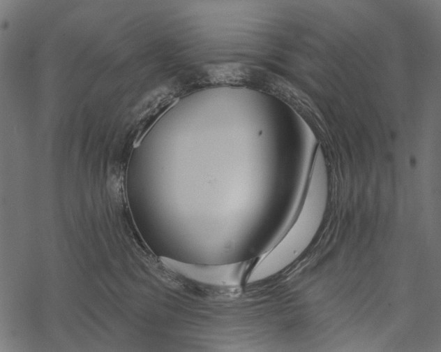 X0000067940329200605041807
