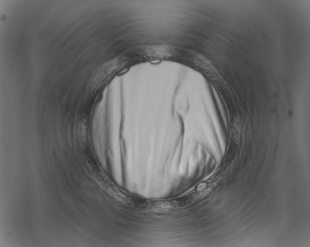 X0000067940330200605041807