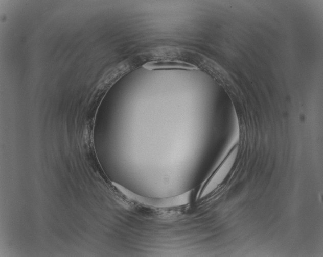 X0000067940333200605041807