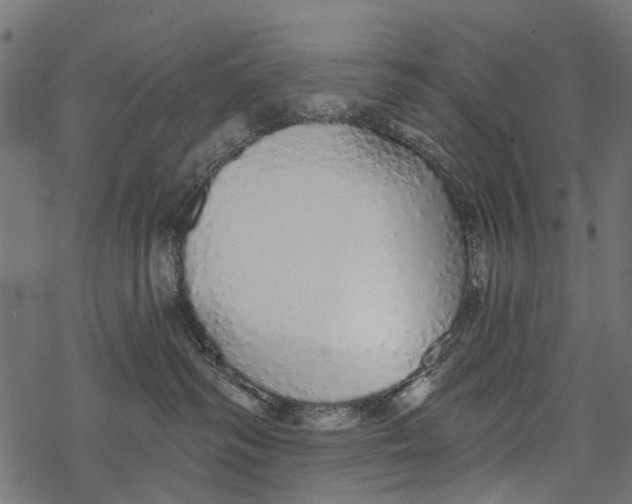 X0000067940334200605041807