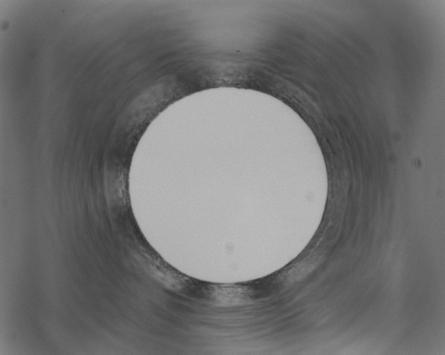 X0000067940336200605041806