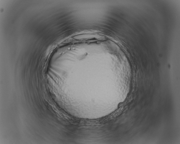 X0000067940337200605041806