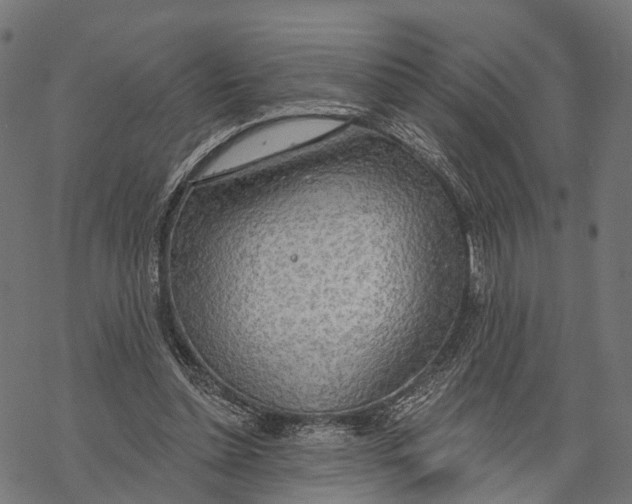 X0000067940348200605041806