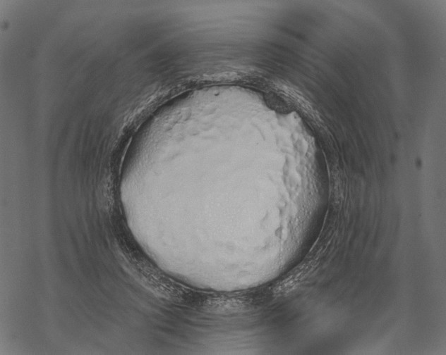 X0000067940354200605041806