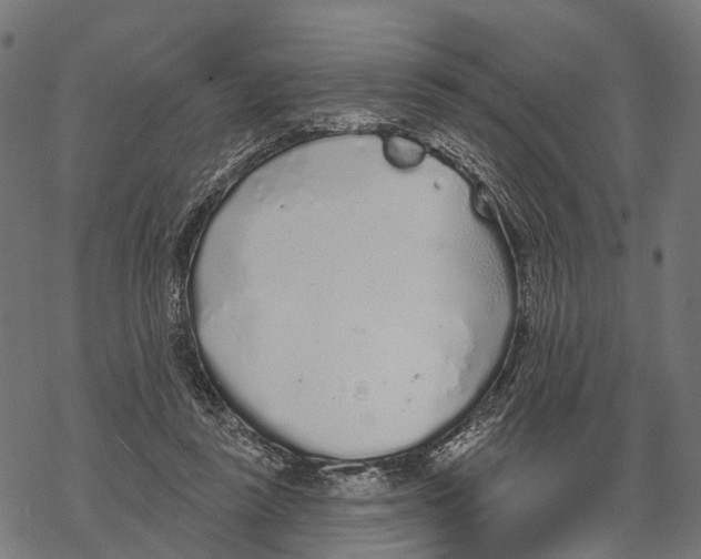X0000067940355200605041806