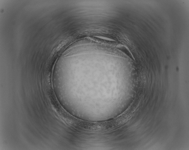 X0000067940360200605041806