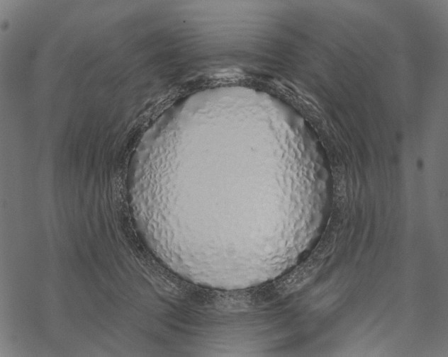 X0000067940369200605041806