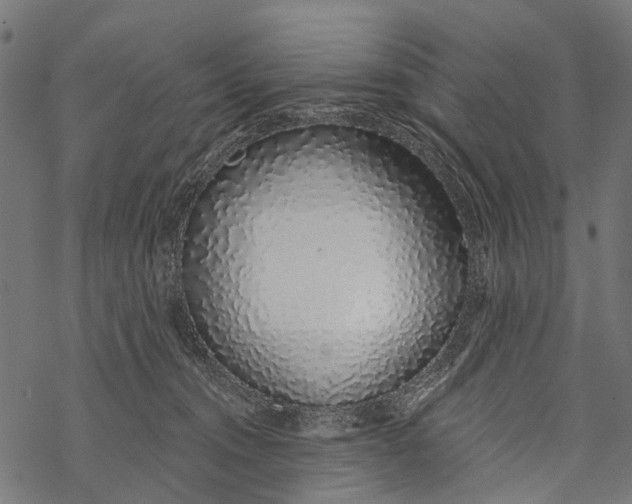 X0000067940372200605041806