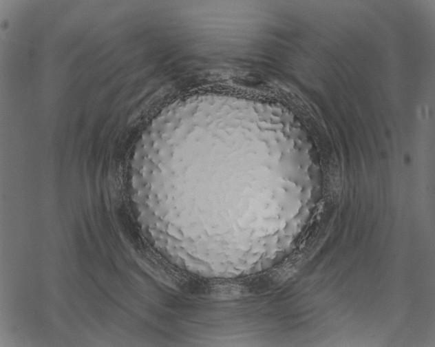 X0000067940376200605041806