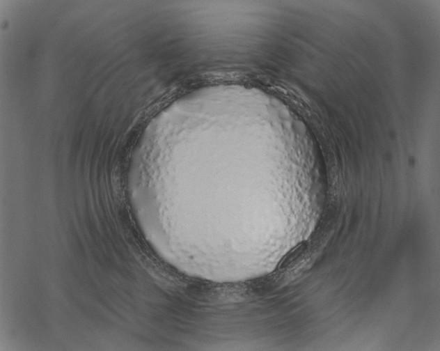 X0000067940377200605041806