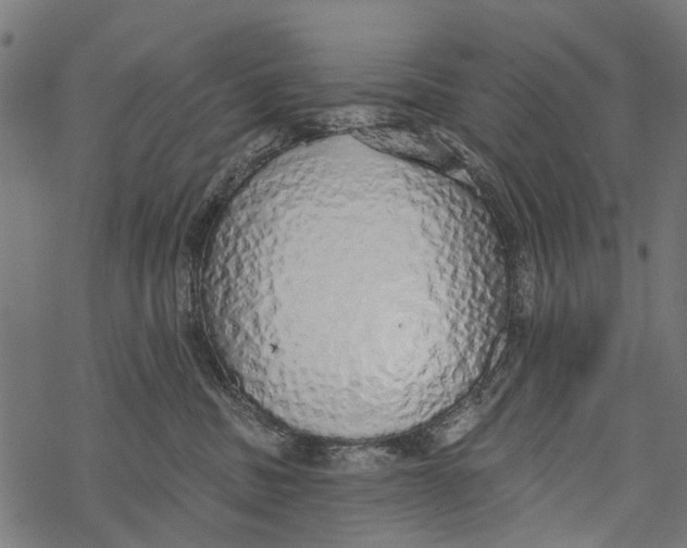 X0000067940379200605041806