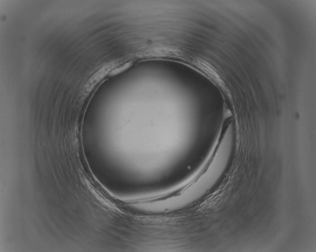 X0000067940389200605041806