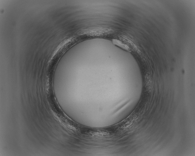 X0000067940400200605041805