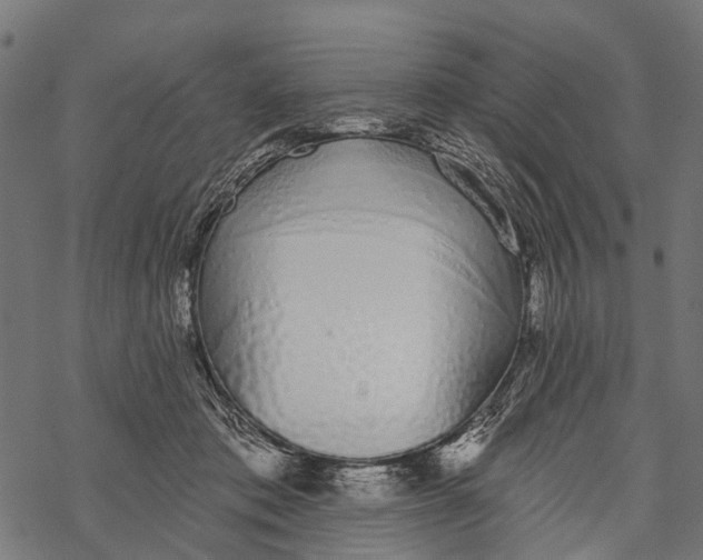 X0000067940413200605041805