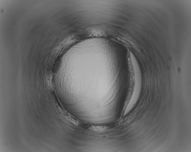 X0000067940417200605041805