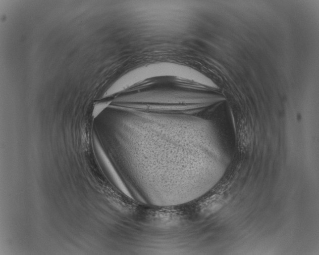X0000067940420200605041805