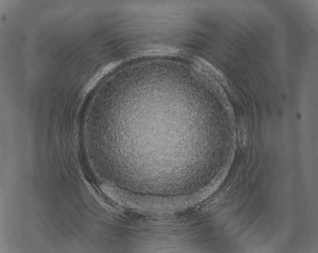 X0000067940436200605041804