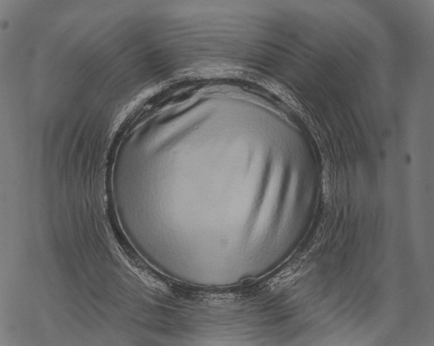X0000067940438200605041804