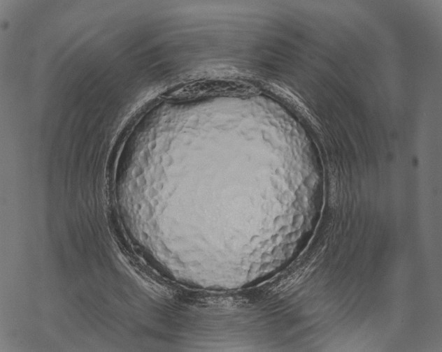 X0000067940439200605041804