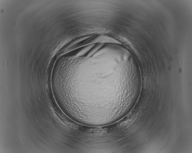 X0000067940443200605041804