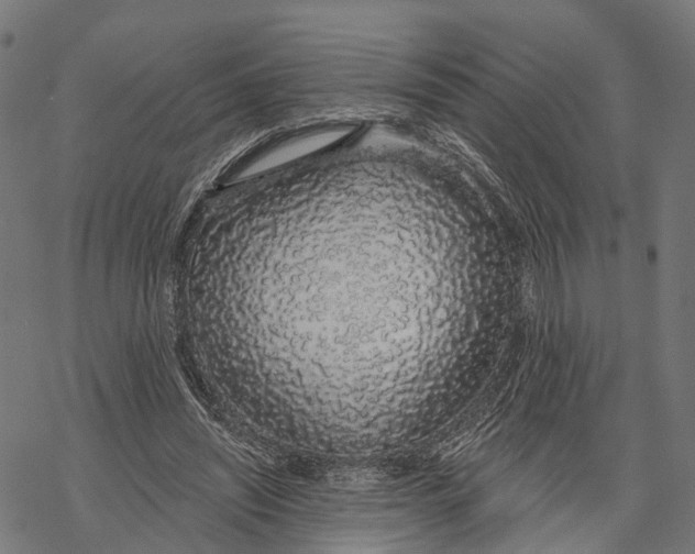 X0000067940444200605041804
