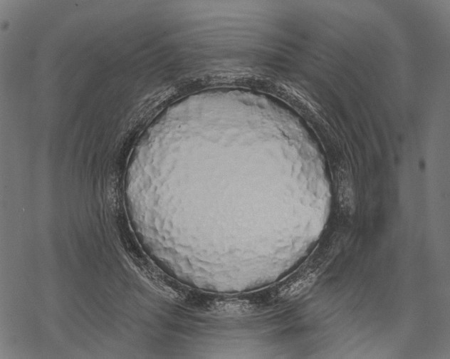 X0000067940455200605041804