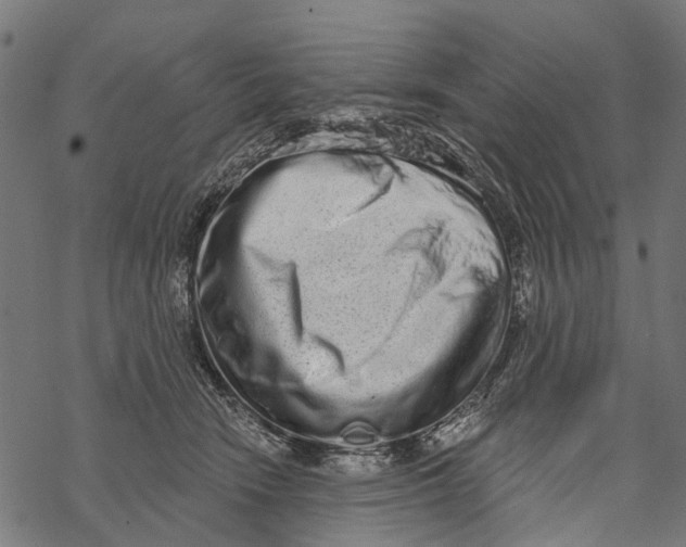 X0000067940466200605041805