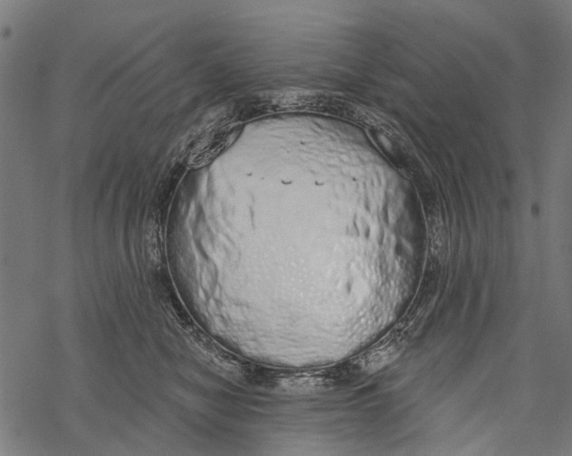 X0000067940470200605041805