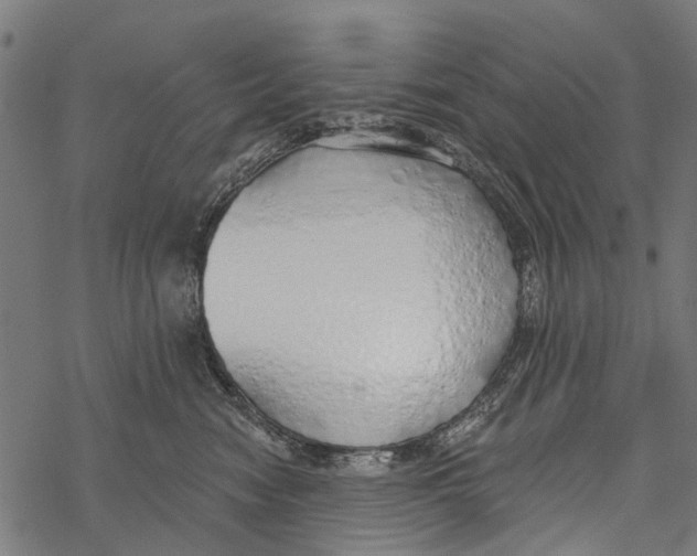 X0000067940474200605041805