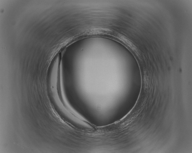 X0000067940485200605041804