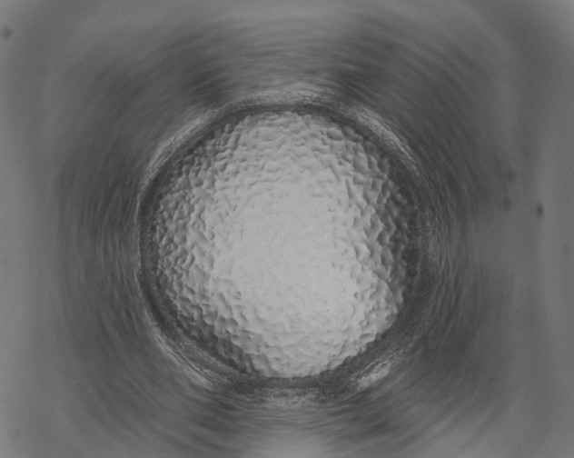X0000067940486200605041804