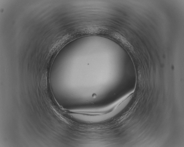 X0000067940493200605041804
