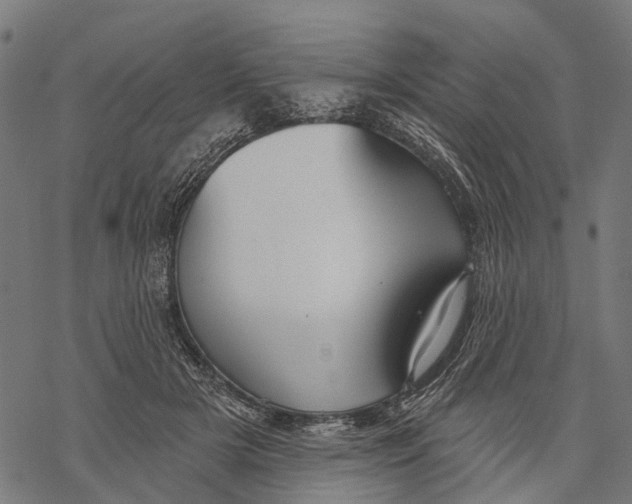 X0000067940505200605041804