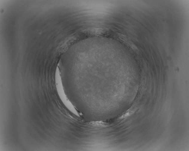 X0000067940528200605041803